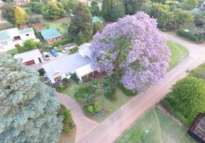 Art Gallery Guest House