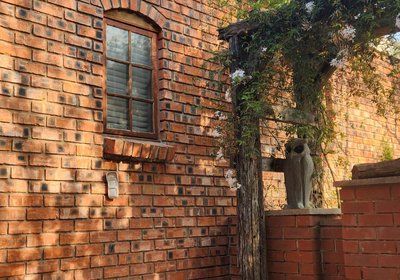 Serendipity Guesthouse