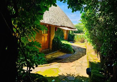 Bird Haven Guesthouse