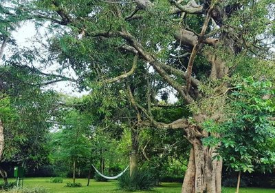 Barefoot Lodge and Safaris - Malawi