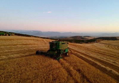 Dassenheuwel Farm Stay