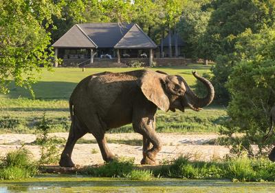 Inyati Game Lodge, Sabi Sand Nature Reserve