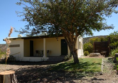 The Country Garden / Beecatcher Guest Farm