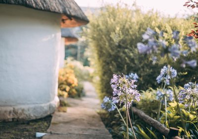 Wyndford Holiday Farm