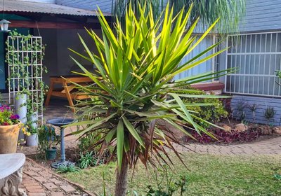 Serendipity Polokwane