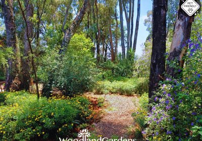Woodland Gardens Pet Friendly Self Catering