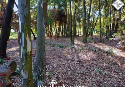 Woodland Gardens Pet Friendly Self Catering