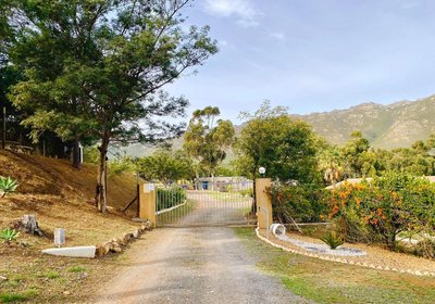 Into the Sunset Manor