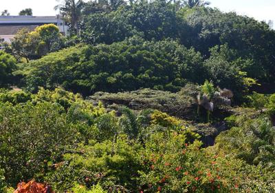 Zuider Zee Guest House