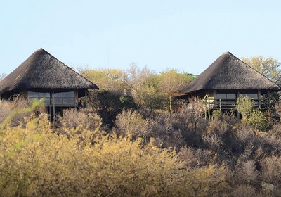 Thulani Game Lodge & Eco Estate