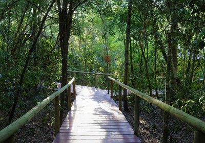 Trogon House and Forest Spa