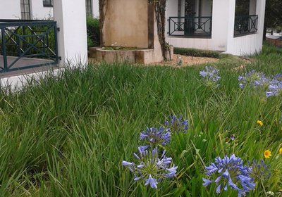 Sherwood's Country House