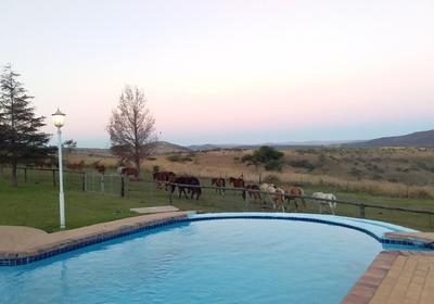 Blue Haze Country Lodge