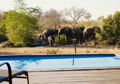 Masodini Private Game Lodge