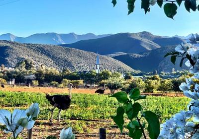 Berluda Farmhouse & Cottages