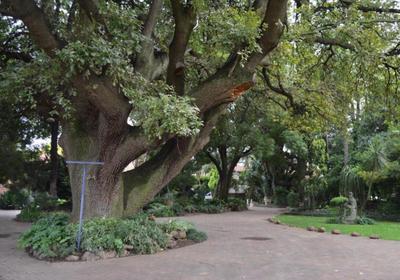 Airport Garden Boutique Hotel 