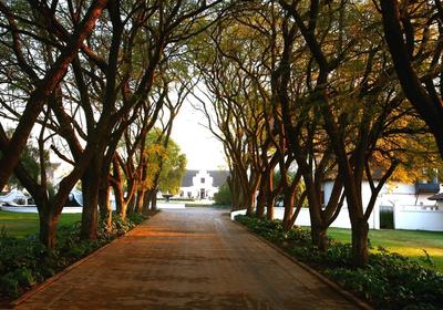 Kievits Kroon Gauteng Wine Estate