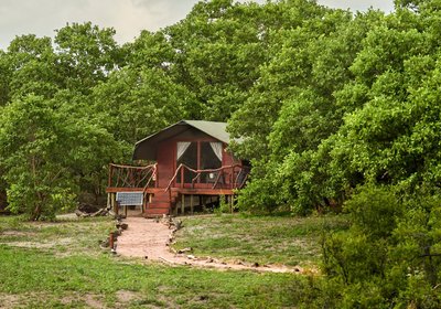 Camp Savuti