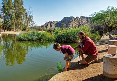 Goanikontes Oasis Rest Camp
