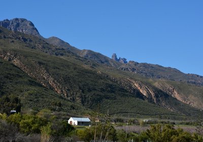 The Country Garden / Beecatcher Guest Farm