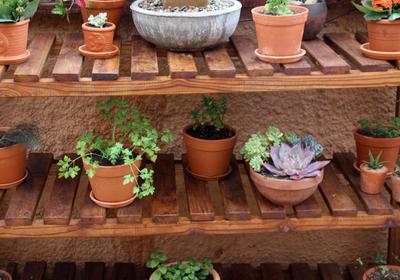 Treetops Guest House