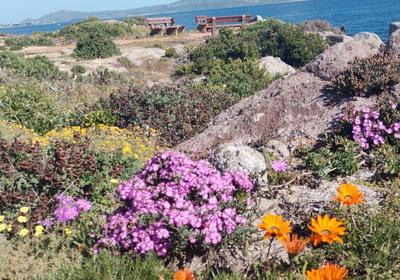 Paradise Beach Apartments Langebaan