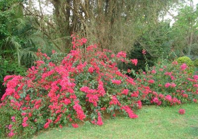 Taunton House Bed & Breakfast