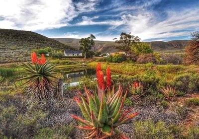 Watermill Farm Cottages