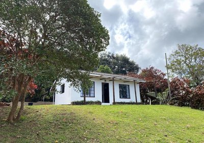 Luxury Modern Farm Cottage With Sea View
