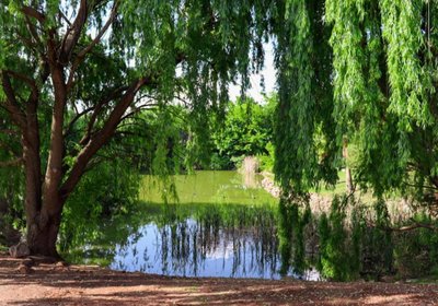 The Nugget Guest Lodge
