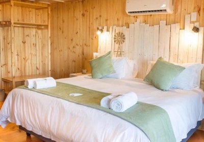 Kalahari Lion's Rest