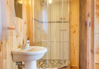 Kalahari Lion's Rest