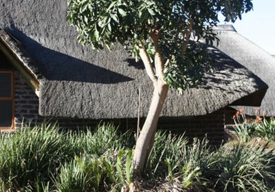 African Flair Country Lodge