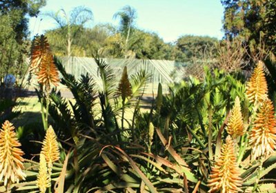 African Flair Country Lodge