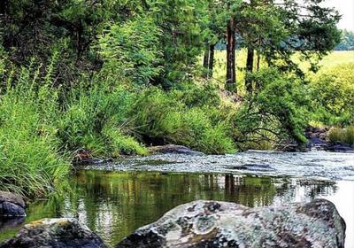 Otters Den Self-catering Cottages