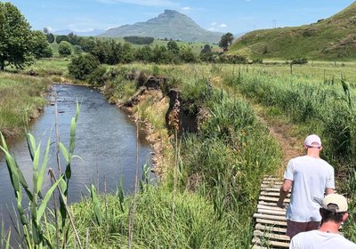 Meadow Lane Country Cottages