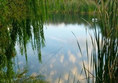 Porcupine Hills Guest Farm