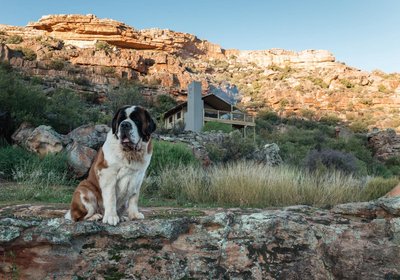 AfriCamps at de Pakhuys, Cederberg