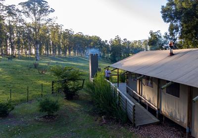 AfriCamps at Oakhurst