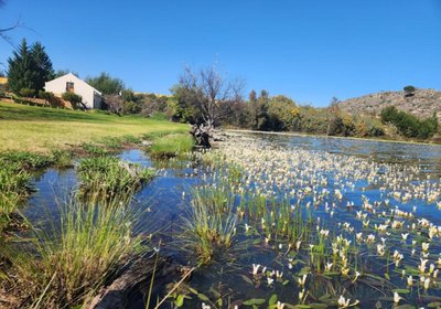 Kliphuis@Slangboskloof