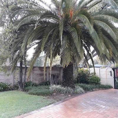 8 Ibis Lane Guest House