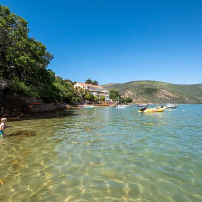 Under Milkwood