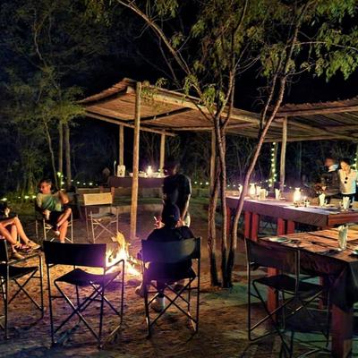  Wild Olive Tree Camp