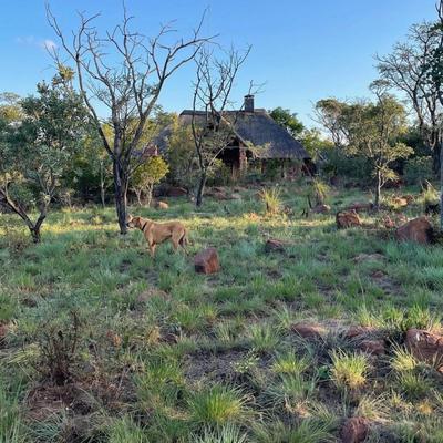Abloom Bush Lodge and Spa Retreat