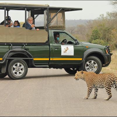 Sabie River Bush Lodge