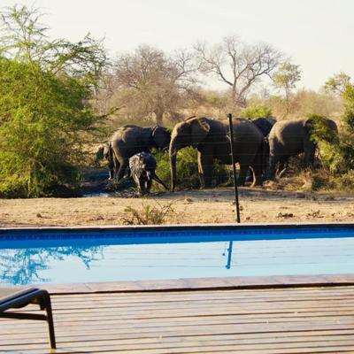 Masodini Private Game Lodge
