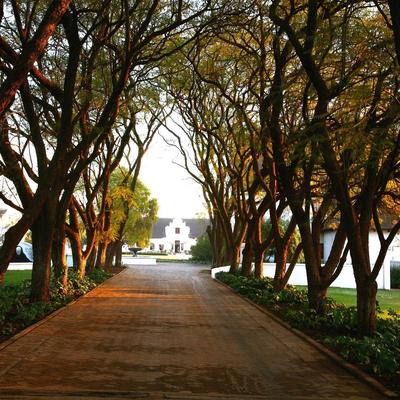 Kievits Kroon Gauteng Wine Estate