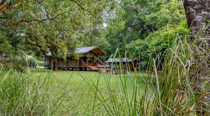 AfriCamps at Mackers