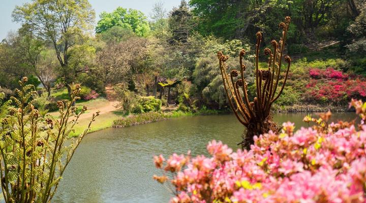 AfriCamps Magoebaskloof