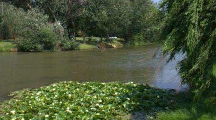 Ibis Nest Guest Lodge